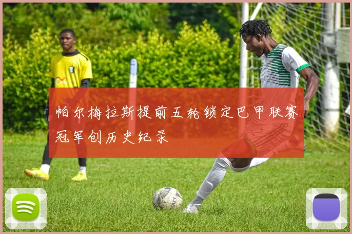 帕尔梅拉斯提前五轮锁定巴甲联赛冠军创历史纪录