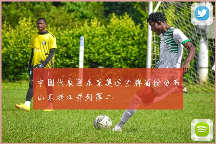 中国代表团东京奥运金牌省份分布山东浙江并列第二