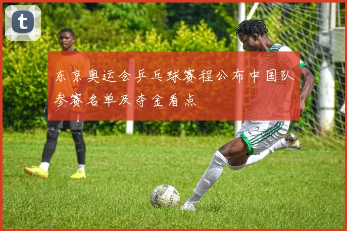 东京奥运会乒乓球赛程公布中国队参赛名单及夺金看点