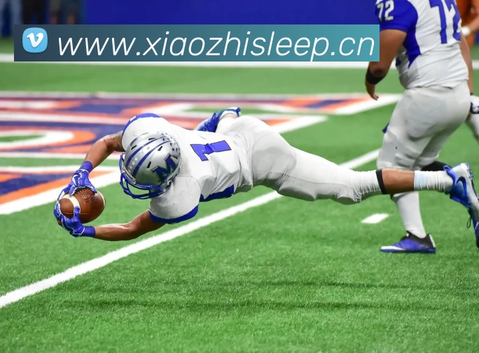 多媒体互动体验